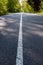 Country asphalt road with tree