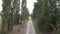 Country cobblestone road, aerial drone view. Stone paved road surrounded by trees. Overgrown stone road. Road paved with tiles in