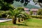 Country cottage courtyard with palm trees