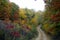 Country Dirt Road in Autumn