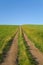 Country dirt road through farmlands