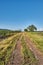 Country dirt road through farmlands