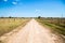 Country dirt road between farmlands, near Filadelfia, in Deutsch mennonite colony Fernheim. Gran Chaco, Paraguay.