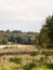 Country farm land scene trees sky and grass summer light