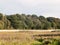 Country farm land scene trees sky and grass summer light