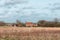 Country farmhouse living. Rural English countryside agricultural landscape scene