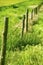 Country Fence