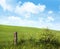 Country fence with flowers with blue sky