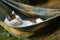 Country funny cat outdoor closeup photo relaxing in hummock