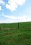 Country Gate in a Field