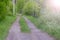 Country ground road and fence in village at summer windy day in private sector.