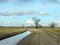 Country highroad and old trees , Lithuania