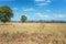 A Country Homestead In The Distance