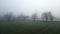 Country house in the fields in a foggy morning