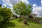 Country house in wonderful springtime day in Pays de la Loire