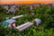 Country houses with plots for a vegetable garden. Russian summer cottages from a height at sunset.