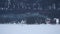 Country houses with smoke from chimney in winter forest