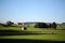 Country landscape with cows and farm