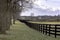 Country landscape with fenceline and trees