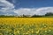 Country landscape near Castell`Arquato