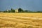 Country landscape near Fiorenzuola Piacenza, Italy