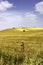 Country landscape near Matera and Gravina di Puglia