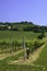 Country landscape near Meldola and Bertinoro, Emilia-Romagna