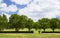 Country Landscape, near the Swan River, Western Australia