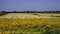 Country landscape in Polesine near Adria