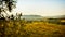 Country landscape in Umbria, near Orvieto