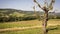 Country landscape in Umbria, near Orvieto