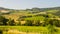 Country landscape in Umbria, near Orvieto