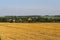 Country landscape with yellow field