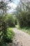 Country lane at Brandon Marsh