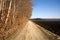 Country Lane, Germany