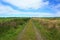 Country Lane, Ireland