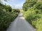 Country lane junction, with wild plants, and bushes near, Waterworks road, Delph, UK