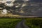 Country lane running through farmland.