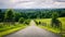 Country lane in rural Cumbria