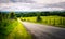 Country lane in rural Cumbria