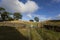 Country lanes on the Dales way