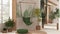 Country living room with rattan potted plants and lace hanging chair. Window with wooden shutters and parquet. White and green