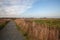 Country path through agricultural farm land in rural Norfolk UK