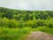 Country pathway through the green meadow leading to spring forest on the mountain hills. Natural landscape wirh fir trees