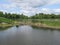 A country pond teeming with life