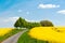 Country road along blooming fields in Western Pomerania