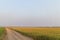 Country road along green rice farm