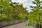 Country road along a wooden fence