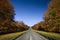 Country road in Autumn - England