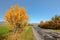 Country road in autumn, orange coloured trees on sides, mount Krivan Slovak symbol with clear sky in distance